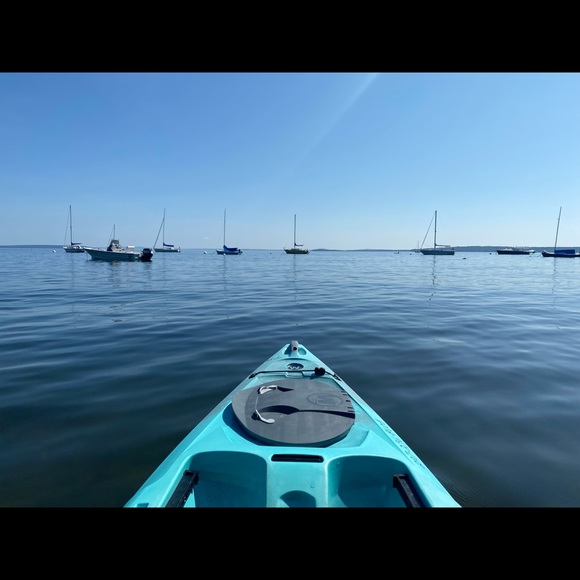 Meet your Posher, Jeannie - Picture 2 of 15